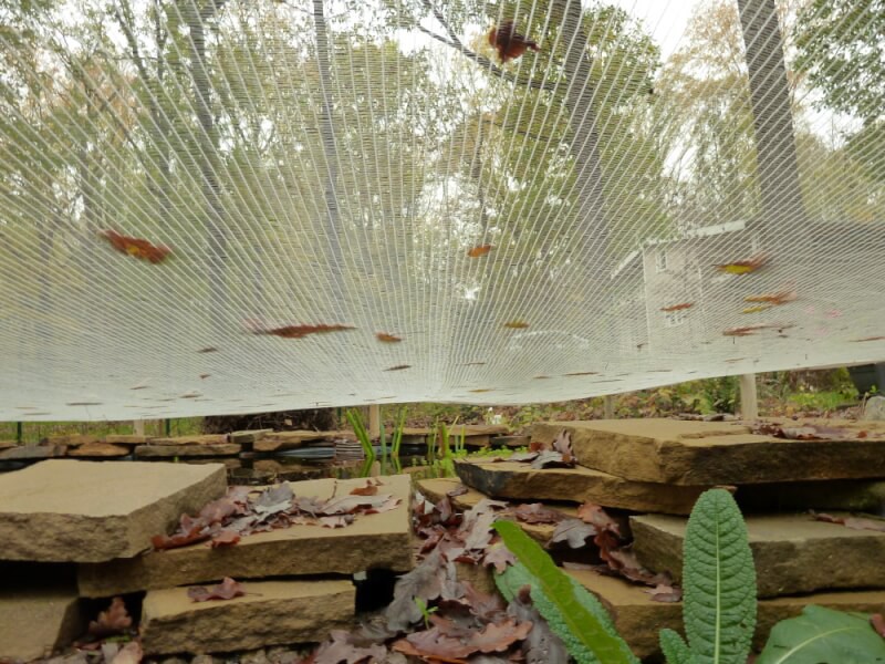 Filet anti-feuilles installé sur un bassin en forêt