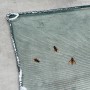 Filet anti-insectes mailles 2 x 6 mm - 60 g/m² 