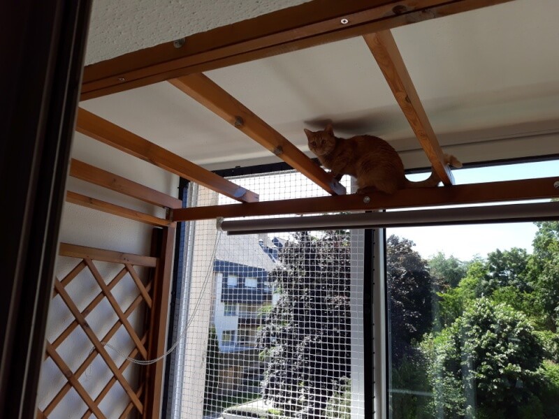 Filet de protection pour chats pour sécuriser une balcon