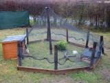 Filet de volière - Mailles 15 mm losanges  - Standard 5 x 5,  5 x 10, 10 x 10 ou 10 x 20 m