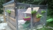 Filet de volière - Mailles 15 mm losanges  - Standard 5 x 5,  5 x 10, 10 x 10 ou 10 x 20 m