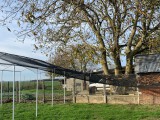 Filet de volière - Mailles 15 mm losanges  - Standard 5 x 5,  5 x 10, 10 x 10 ou 10 x 20 m