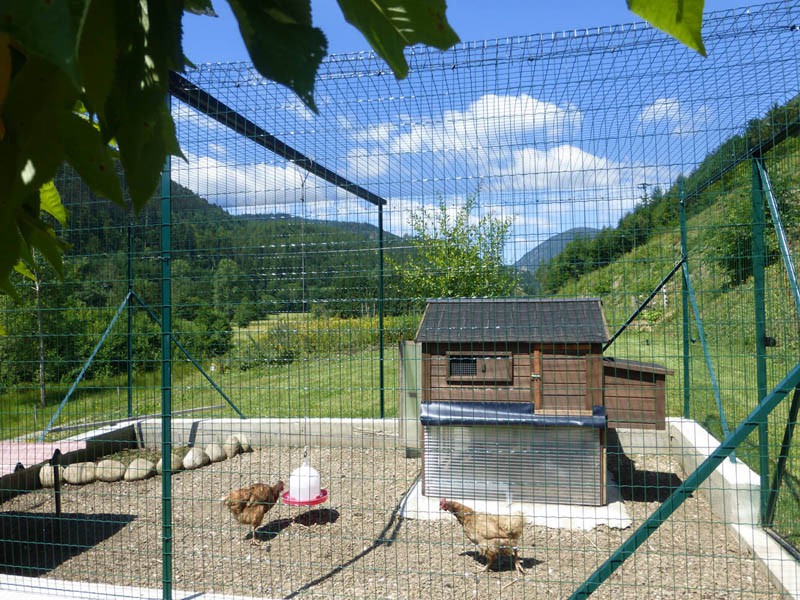 Filets anti-oiseaux, volières - Jardin Couvert