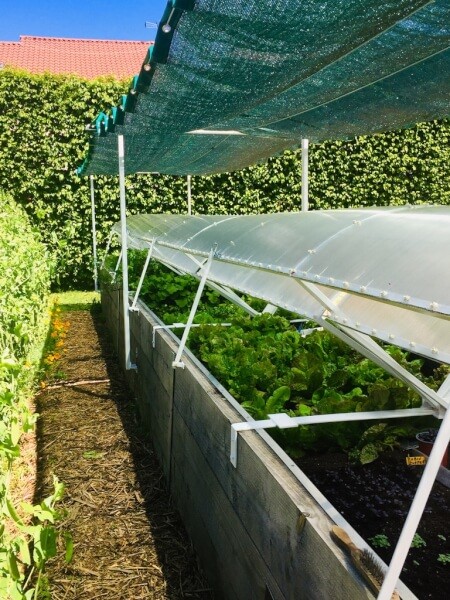 Toile d'ombrage au dessus d'un bac de croissance de légumes 