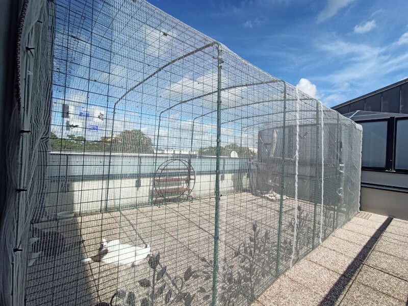 Filet anti-frelons installé sur une cage pour chats