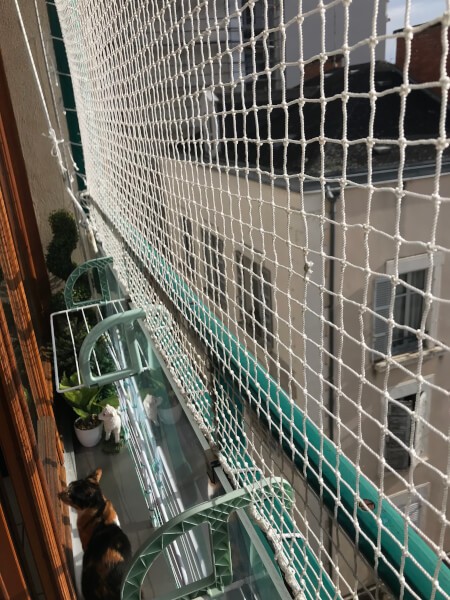 Filet de protection pour chats pour sécuriser un balcon