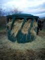 Filet à foin pour mangeoire à chevaux robuste - sur mesure - Mailles 45 mm - ∅ 5 mm