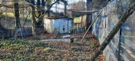Filet de volière - Mailles 15 mm losanges  - Standard 5 x 5,  5 x 10, 10 x 10 ou 10 x 20 m