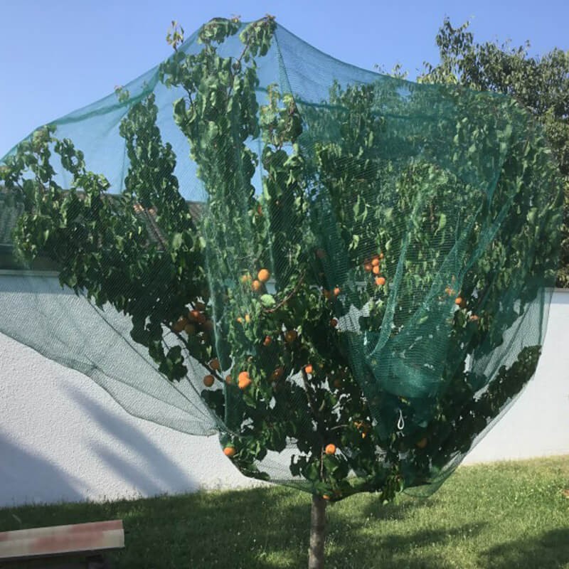 Filet Anti Oiseaux Arbre Fruitier Filets de Jardin Réutilisables  Anti-Oiseaux Protège Les Plantes, Les Fruits, Les Arbres,3x10m