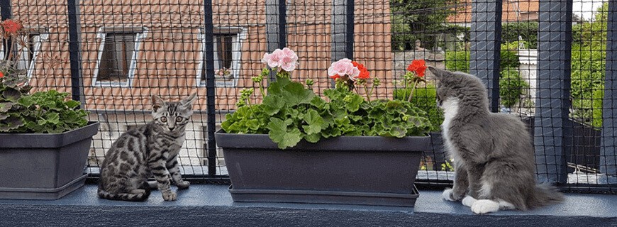 Sécurité Enfant Balcon : Filets Taillé Sur Mesure contre la Chute - Combien  ça coute ?