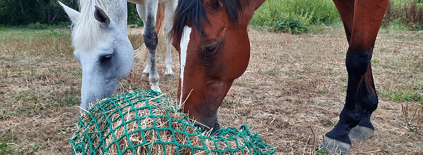 Filet à foin pour chevaux et poneys - Plusieurs dimensions disponibles