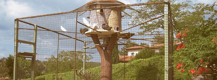 Grillage pour VOLIÈRE - CAGE OISEAU Acier galvanisé 1 x 25 m Vert