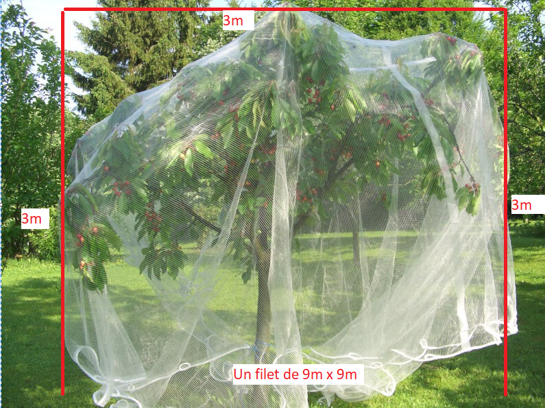 Filet protection fruits et légumes - Mailles 2 x 6 mm - 60 g/m²
