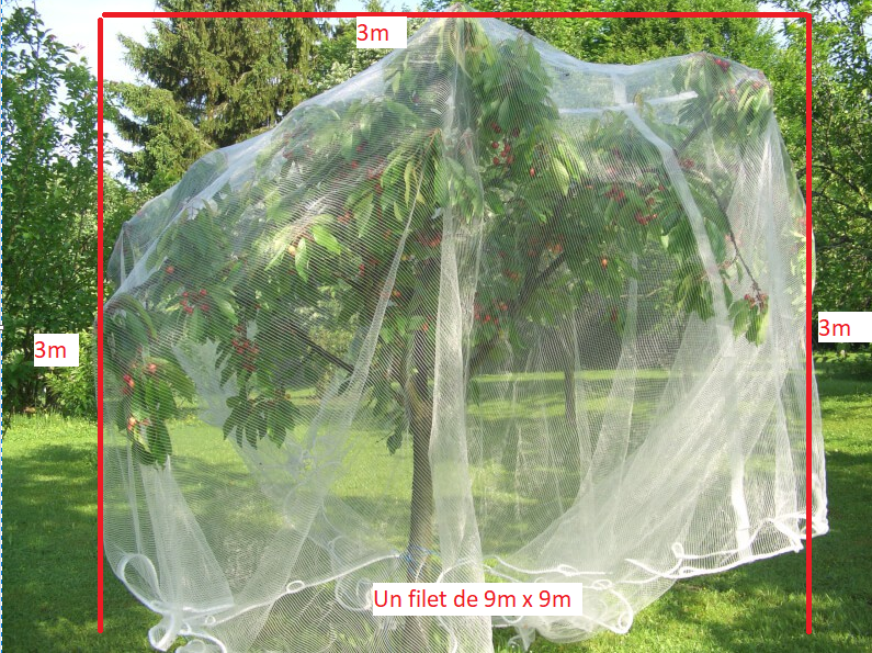 Blanc Filet Anti Insecte Potager 3 x 6 M, Filet Protection Potager, Filet  Jardin Convient pour Protection Plantes Fleurs Légumes Fruits