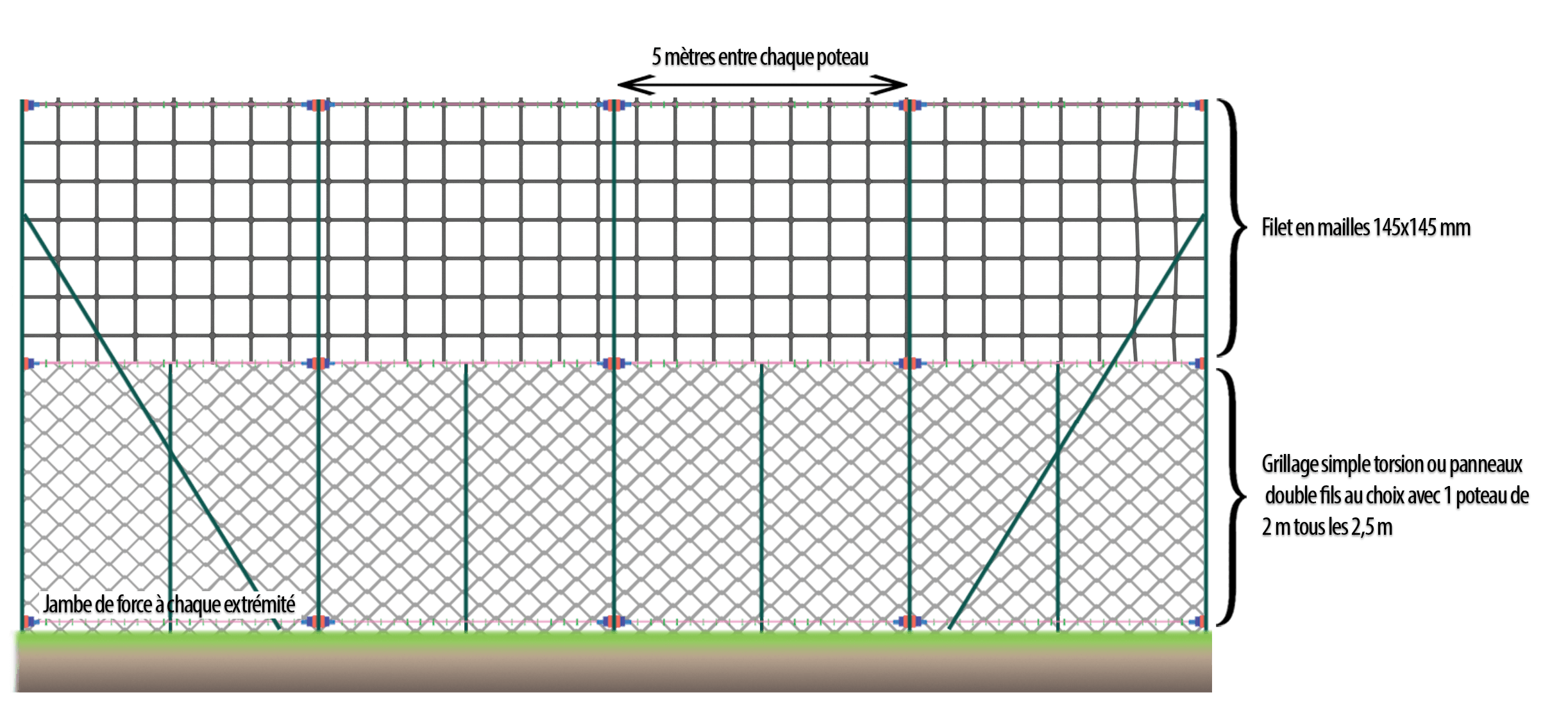 double-et-simple_torsion_Schema_pare_bal