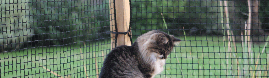 Filets protection chats couverture