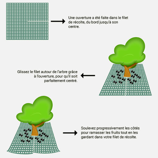 Comment positionner mon filet de récolte ? - Maillestore