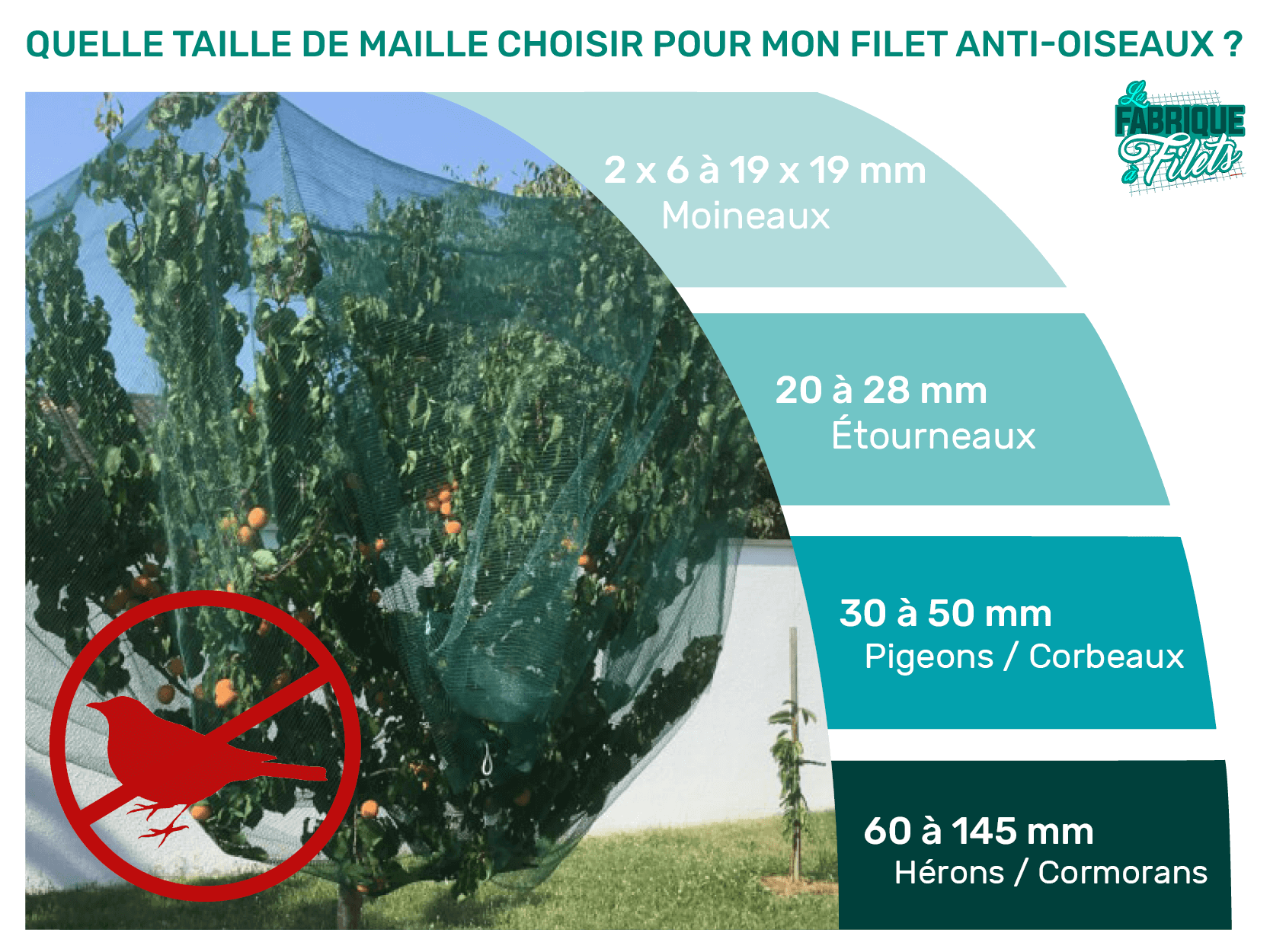 Filet Anti-Oiseaux - Maille de 35mm Noir 20m x 20m