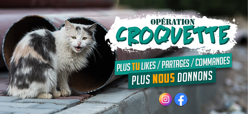 image operation croquette 2021