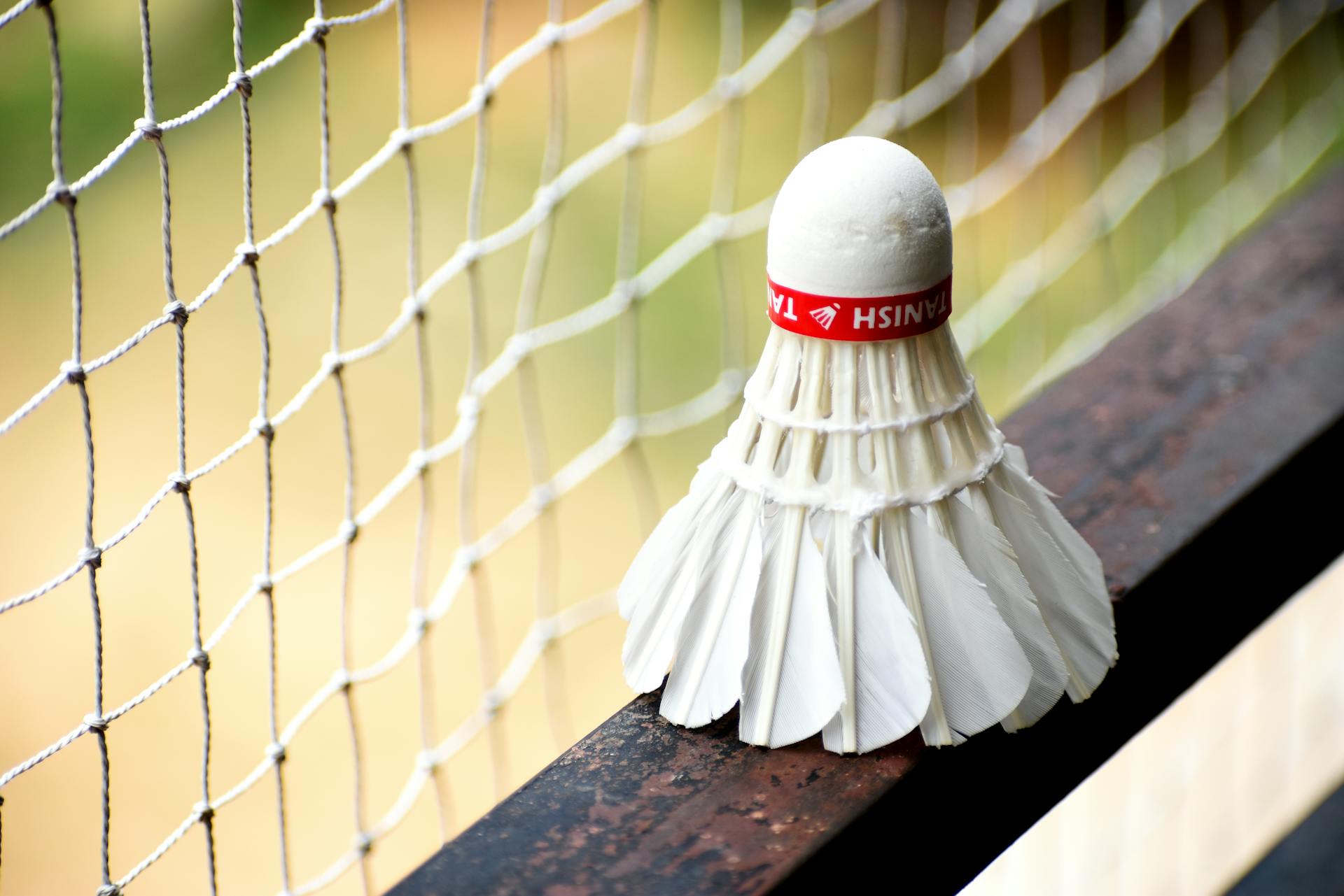 Pare-ballons badminton