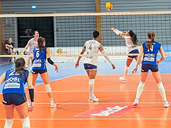 Filet de volley