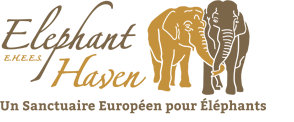 logo Elephant Haven