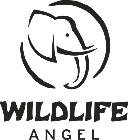 Logo Wildlife Angel, ONG de formation de rangers pour la protection de la faune en Afrique